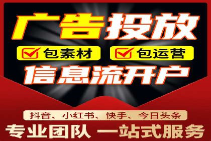 成功运用SEM服务实现品牌快速成长的案例